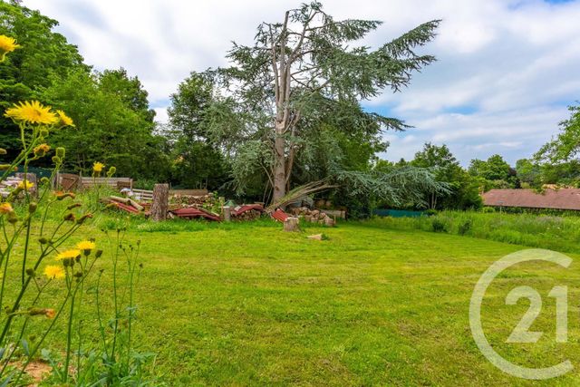 Afficher la photo en grand terrain à vendre - 800.0 m2 - ST ARNOULT EN YVELINES - 78 - ILE-DE-FRANCE - Century 21 Ld Immobilier